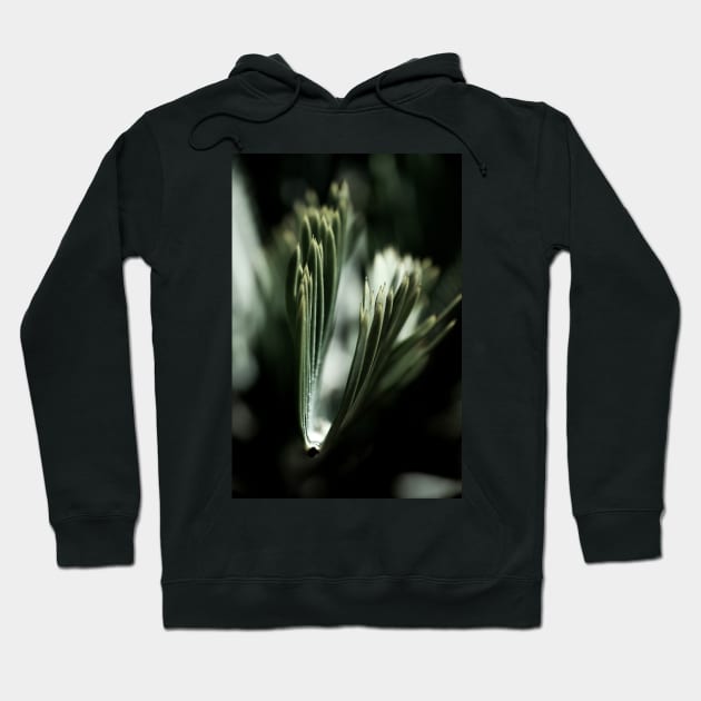 Palm Tree 03 Hoodie by froileinjuno